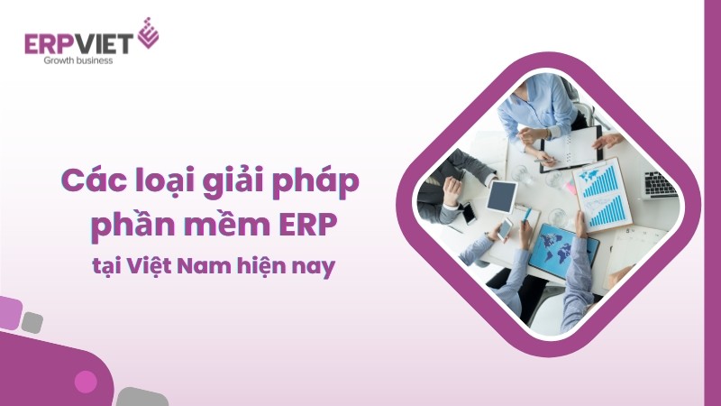 Các loại giải pháp phần mềm ERP tại Việt Nam hiện nay