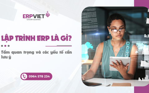 Lập trình ERP là gì? Tầm quan trọng và các yếu tố cần lưu ý
