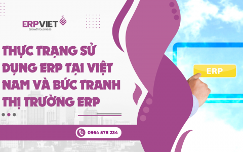 Thực trạng sử dụng ERP tại Việt Nam và bức tranh thị trường ERP