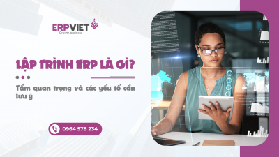 Lập trình ERP là gì? Tầm quan trọng và các yếu tố cần lưu ý
