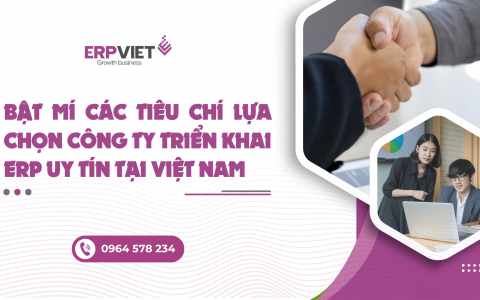 Bật mí các tiêu chí lựa chọn công ty triển khai ERP uy tín tại Việt Nam