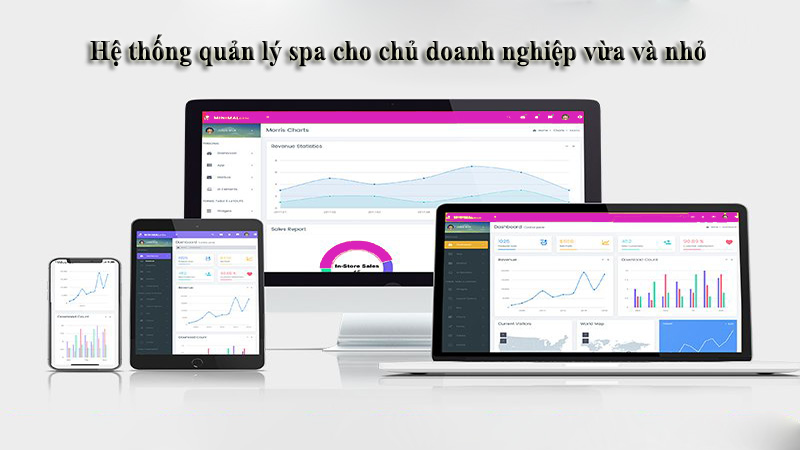 Hệ thống quản lý phần mềm spa